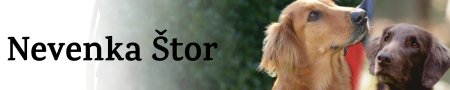 New Project(1)
